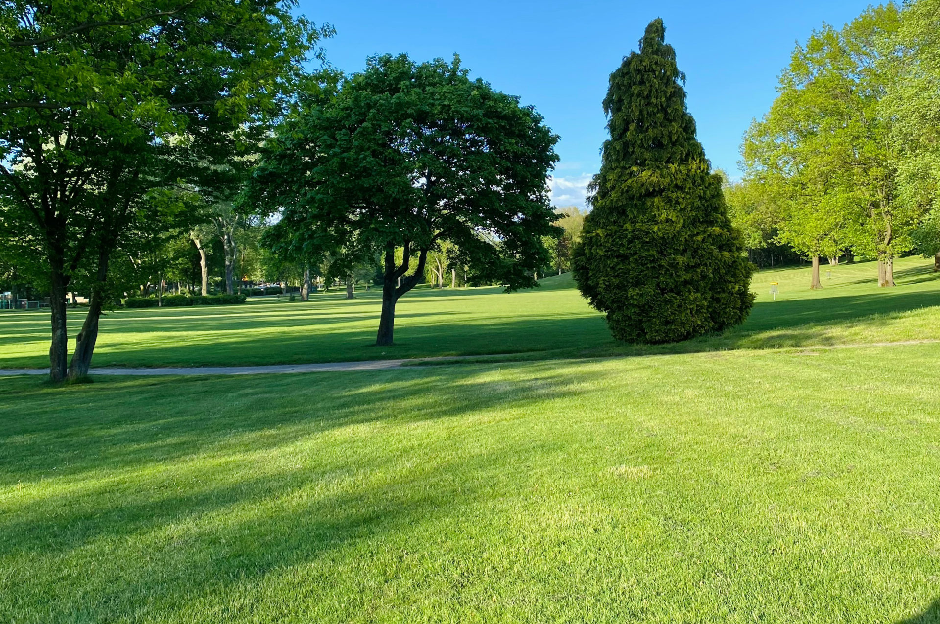 AKIL-property-management-lawn-care3 Fresh cut lawn with trees