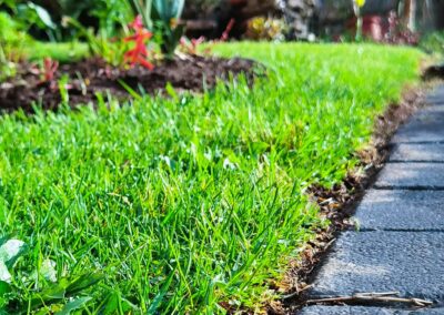 Nicely kept lawn and landscaped with the walking path